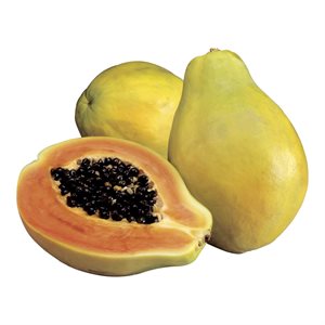 Papaya (large)