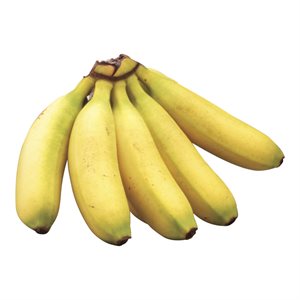 Banane Miniature